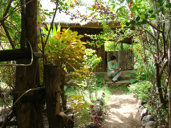 Garden hut doorstep